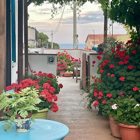 Sa Dommo De Mammai Apartman *