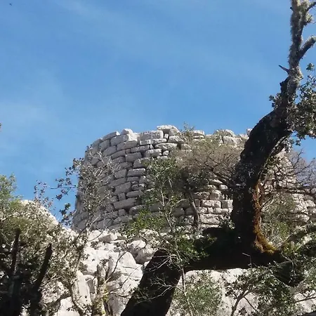 Apartamento Sa Dommo De Mammai