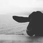 Апартаменты Sa Dommo De Mammai *