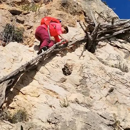Lägenhet Sa Dommo De Mammai Cala Gonone