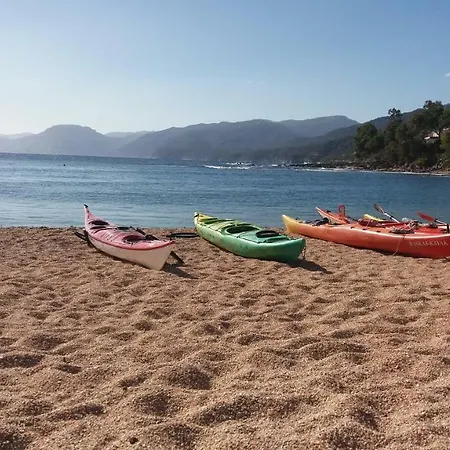 Lägenhet Sa Dommo De Mammai