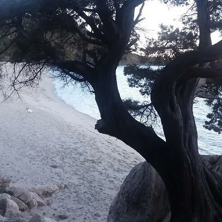 Lägenhet Sa Dommo De Mammai *