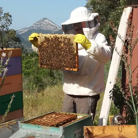 Lägenhet Sa Dommo De Mammai Cala Gonone