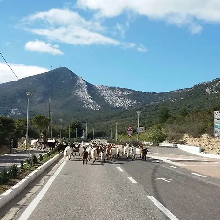 Sa Dommo De Mammai Lägenhet