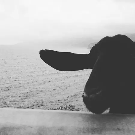 Lägenhet Sa Dommo De Mammai *