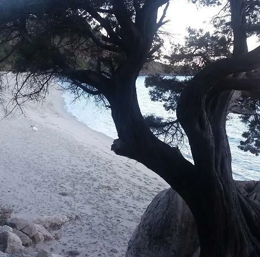 Apartament Sa Dommo De Mammai *