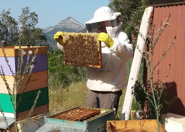 Apartament Sa Dommo De Mammai Cala Gonone