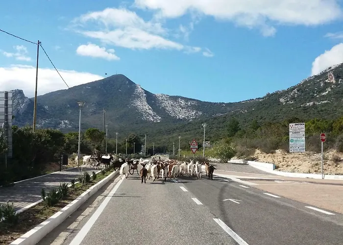 Sa Dommo De Mammai Apartament