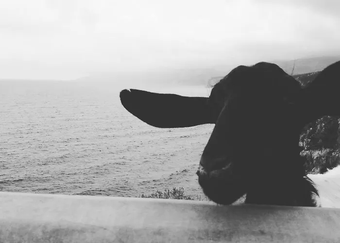 Apartament Sa Dommo De Mammai *